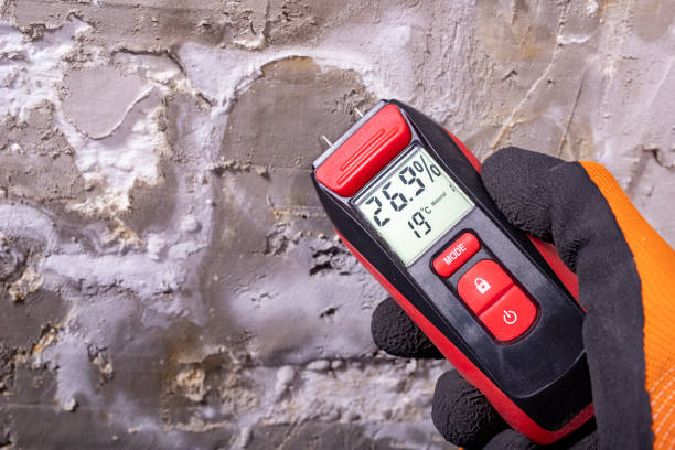 Best Post-Flood Mold Remediation in Wink, TX